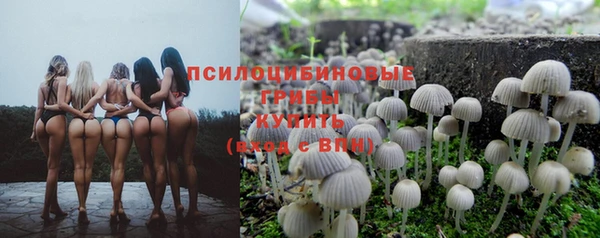 СК Баксан