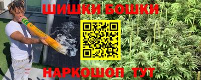 спиды Аргун