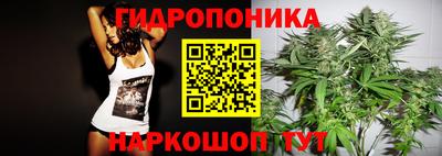 спиды Аргун