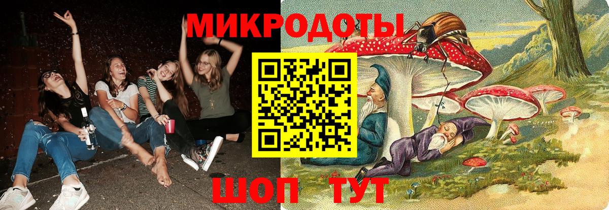 Псилоцибиновые грибы Psilocybe Белово
