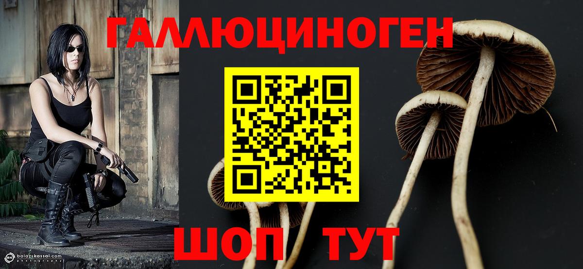 Галлюциногенные грибы GOLDEN TEACHER  Белово  Галлюциногенные грибы Magic Shrooms 